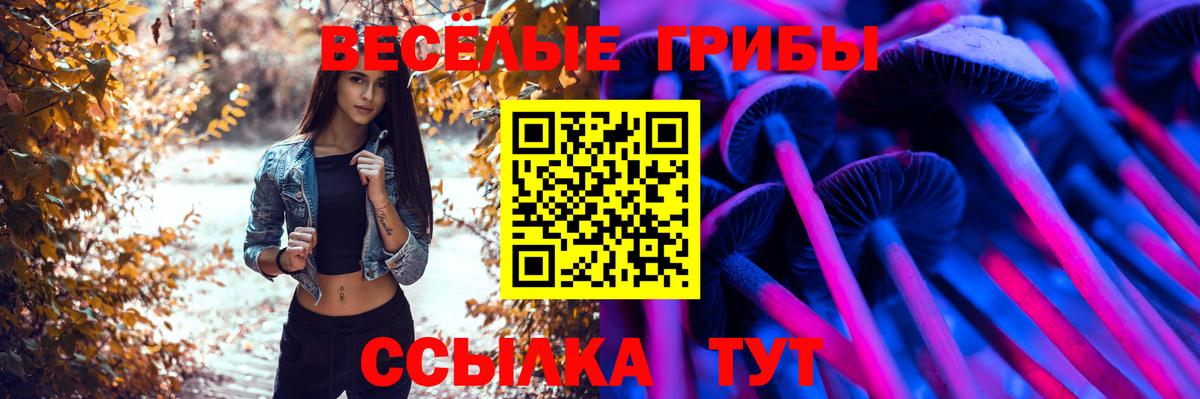 Галлюциногенные грибы Magic Shrooms  магазин  наркотиков  Псилоцибиновые грибы прущие грибы  Сосновоборск  Вход с VPN 