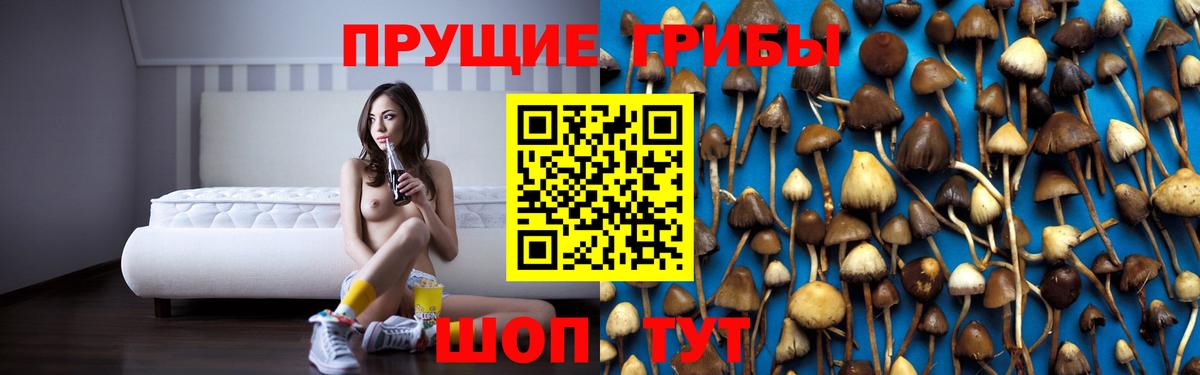 Галлюциногенные грибы Magic Shrooms Сосновоборск